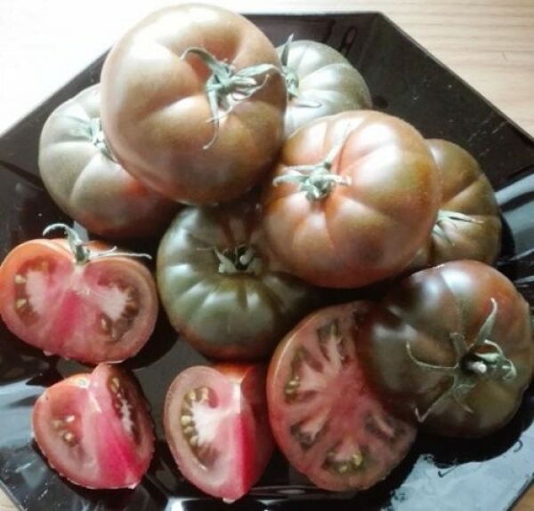Tomate 'Marmande', dunkel gestreift, 10 Samen